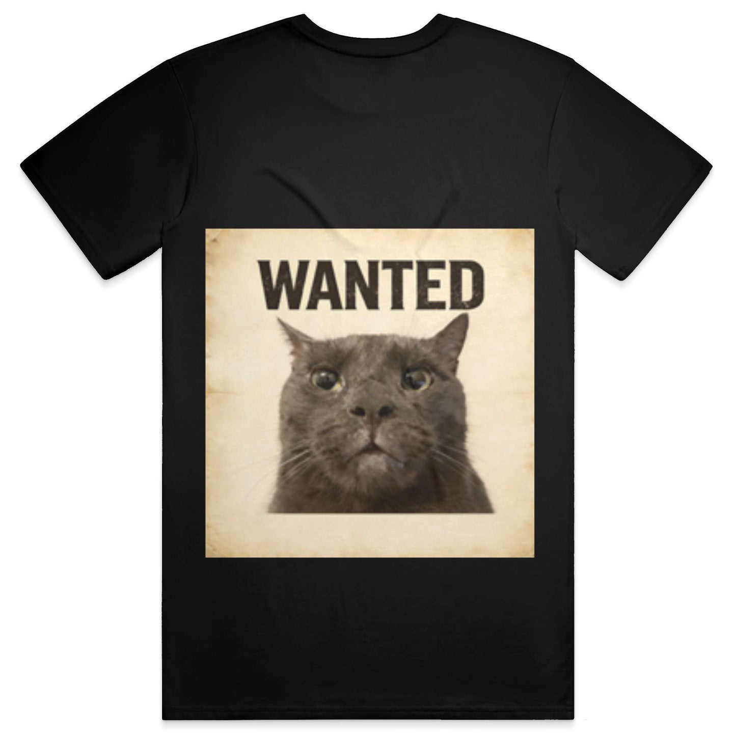 ashe t-shirt - blxck