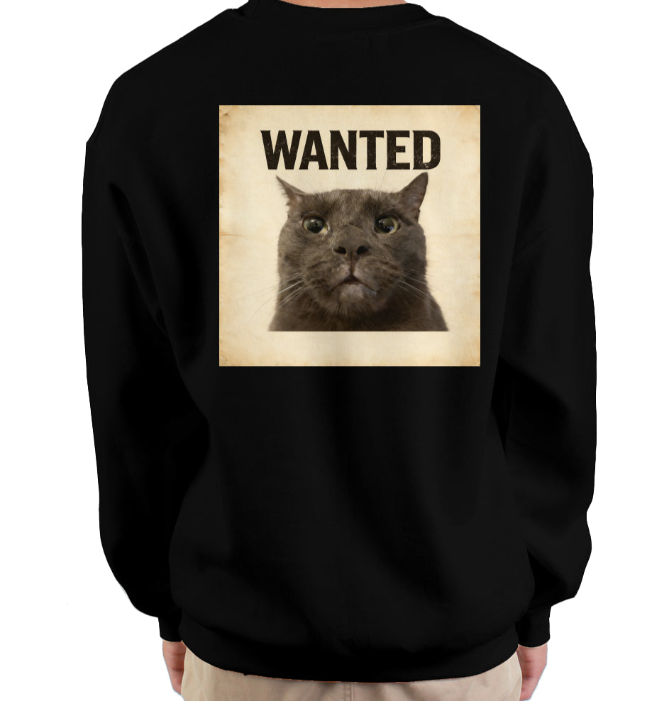ashe sweatshirt - blxck
