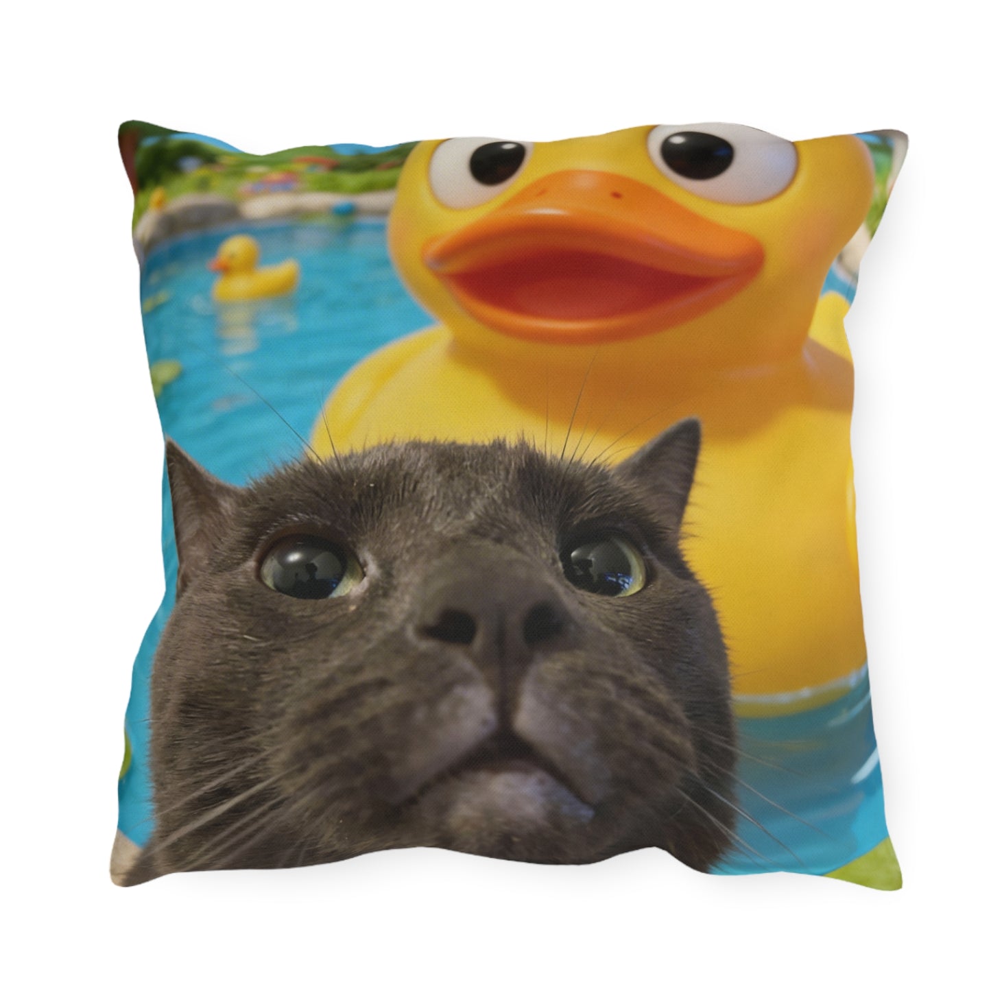 ashe pillow