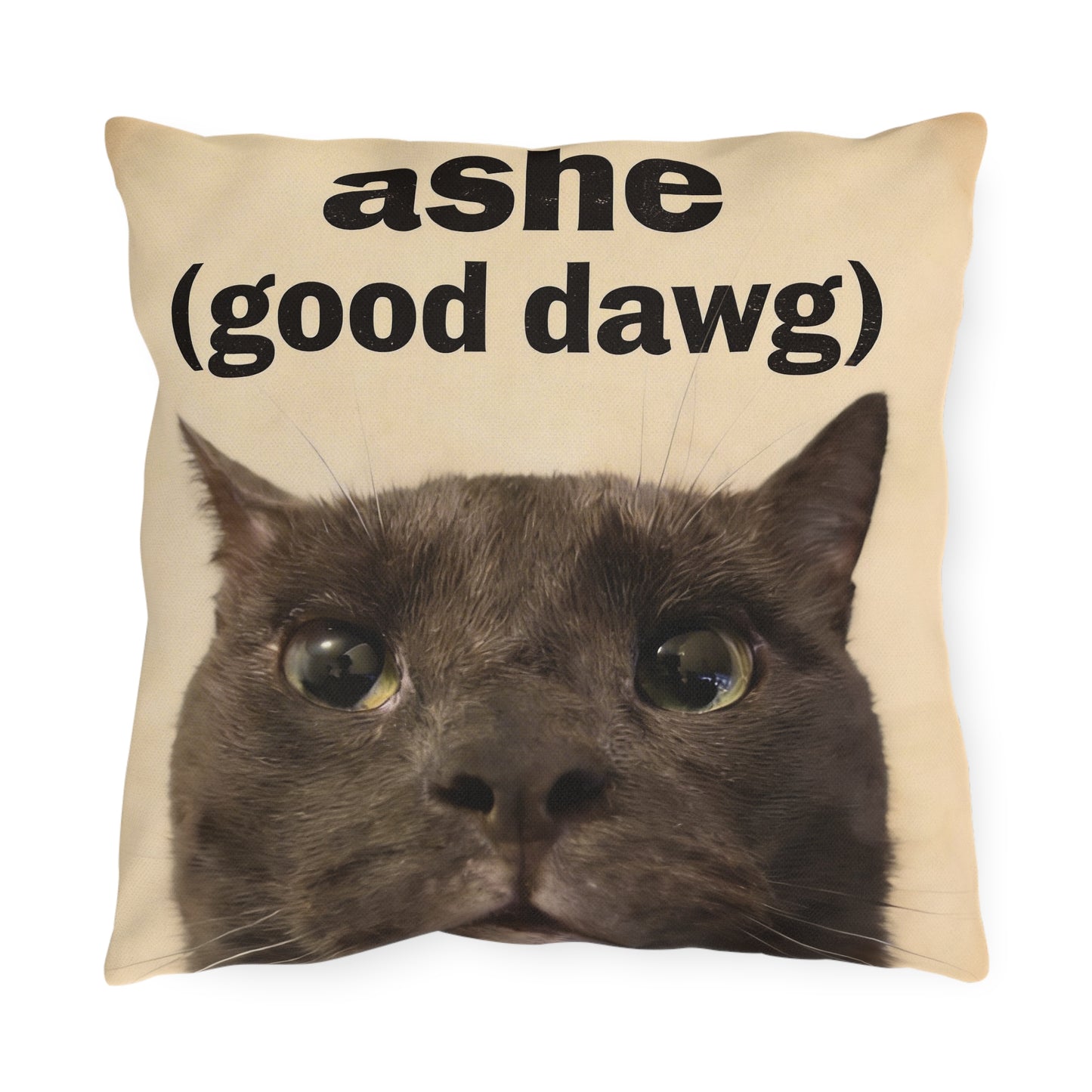 ashe pillow