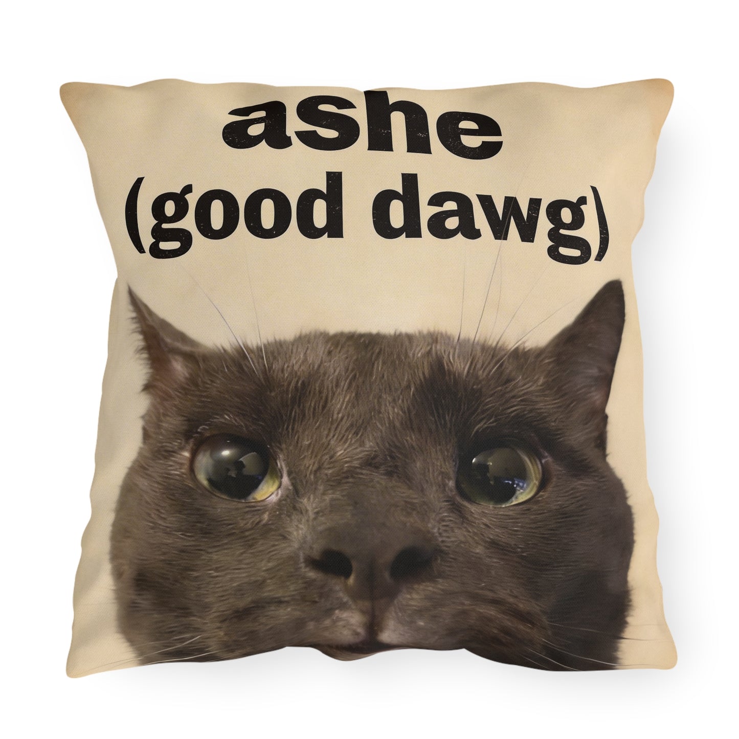 ashe pillow