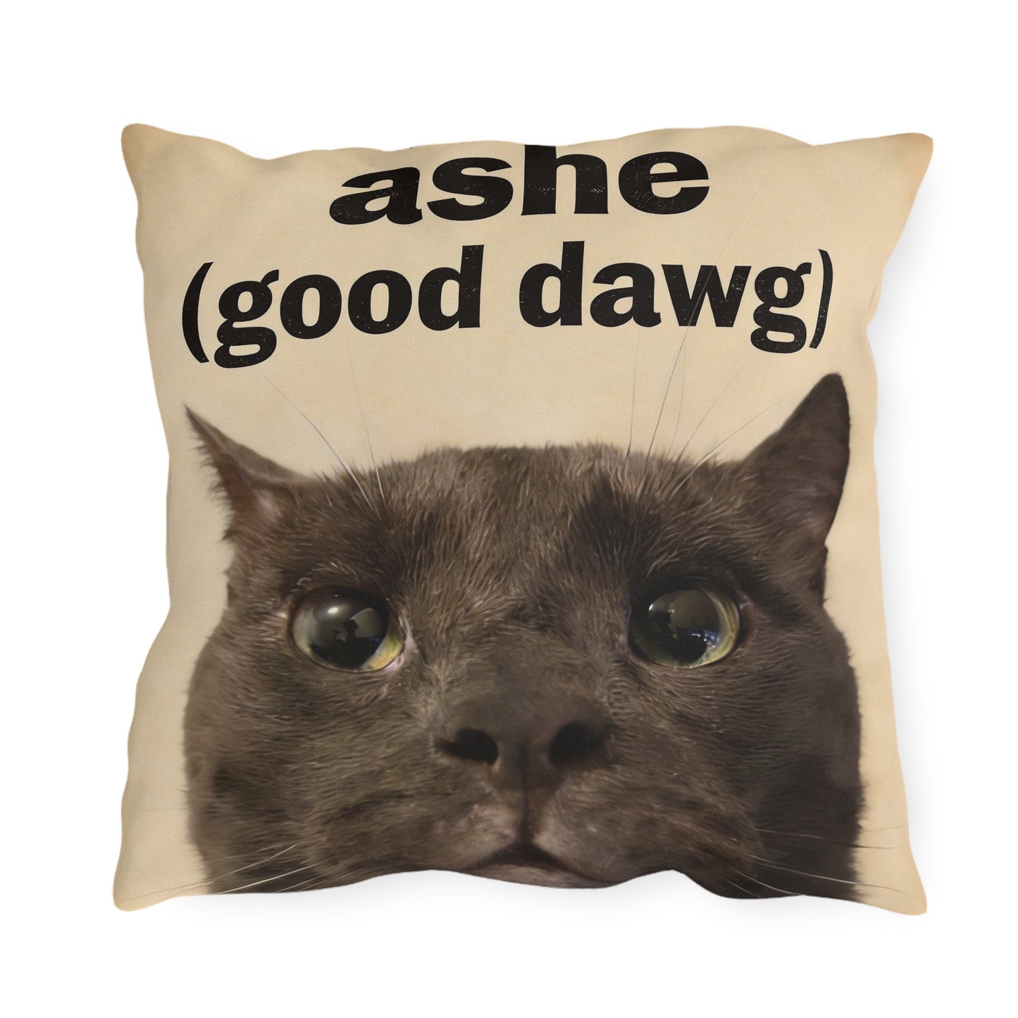ashe pillow