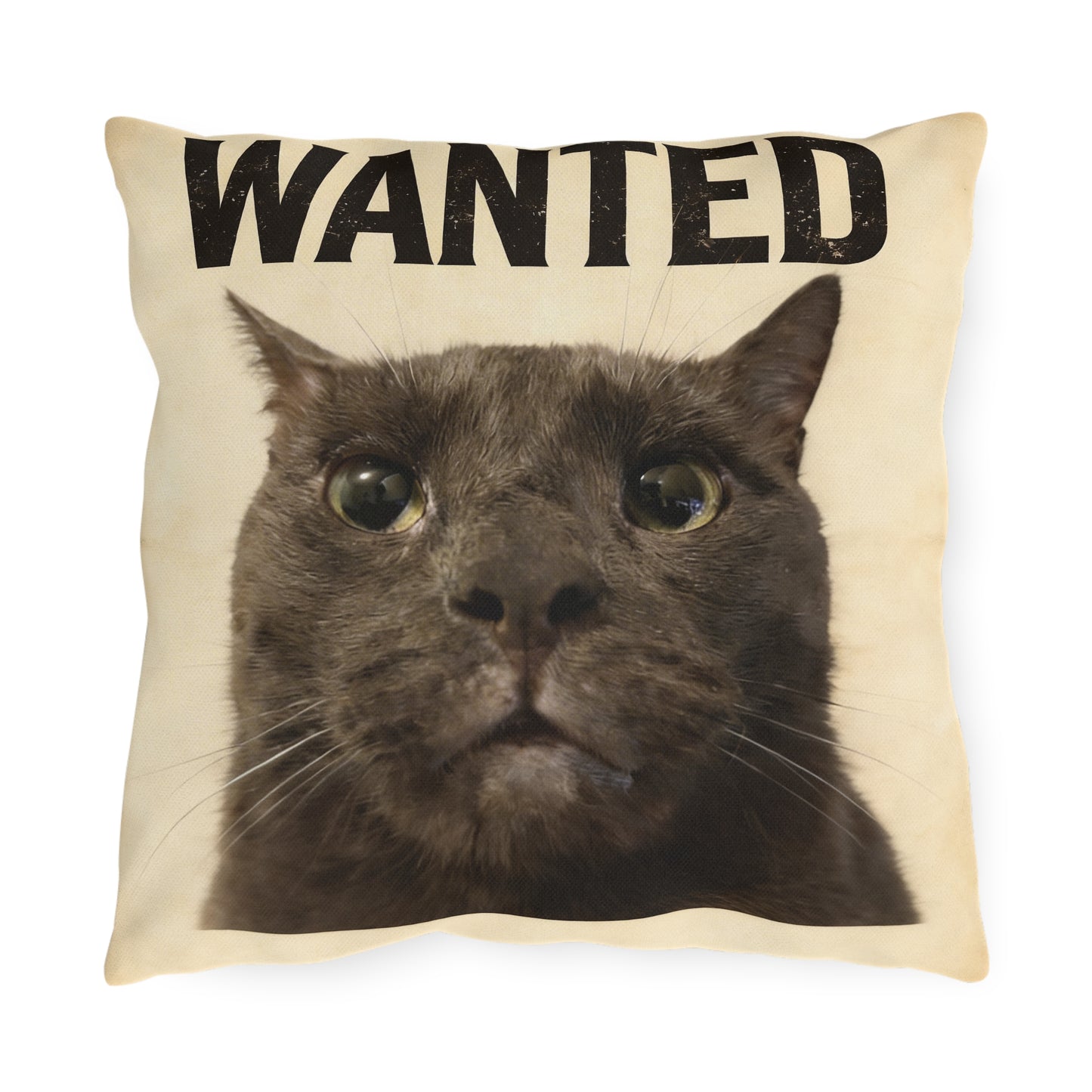 ashe pillow