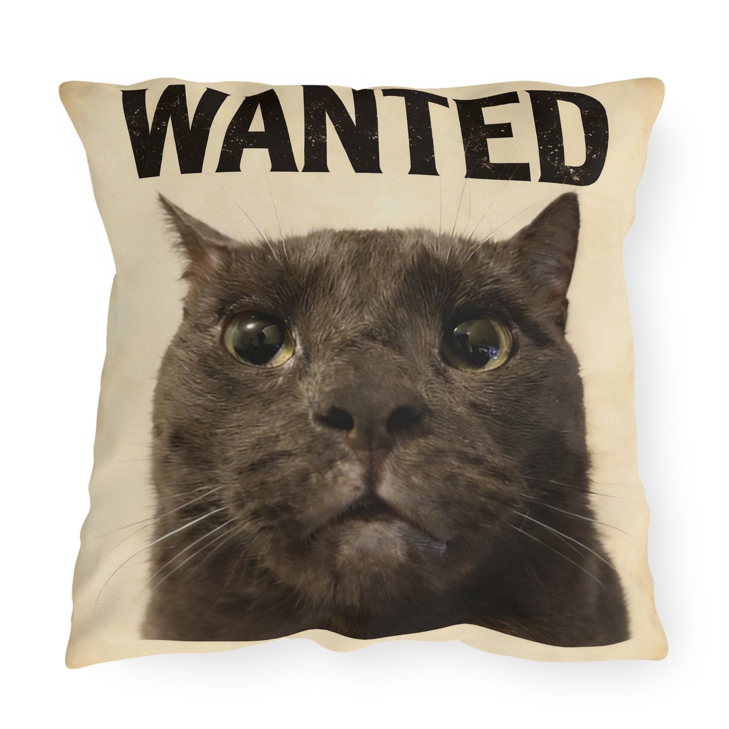 ashe pillow