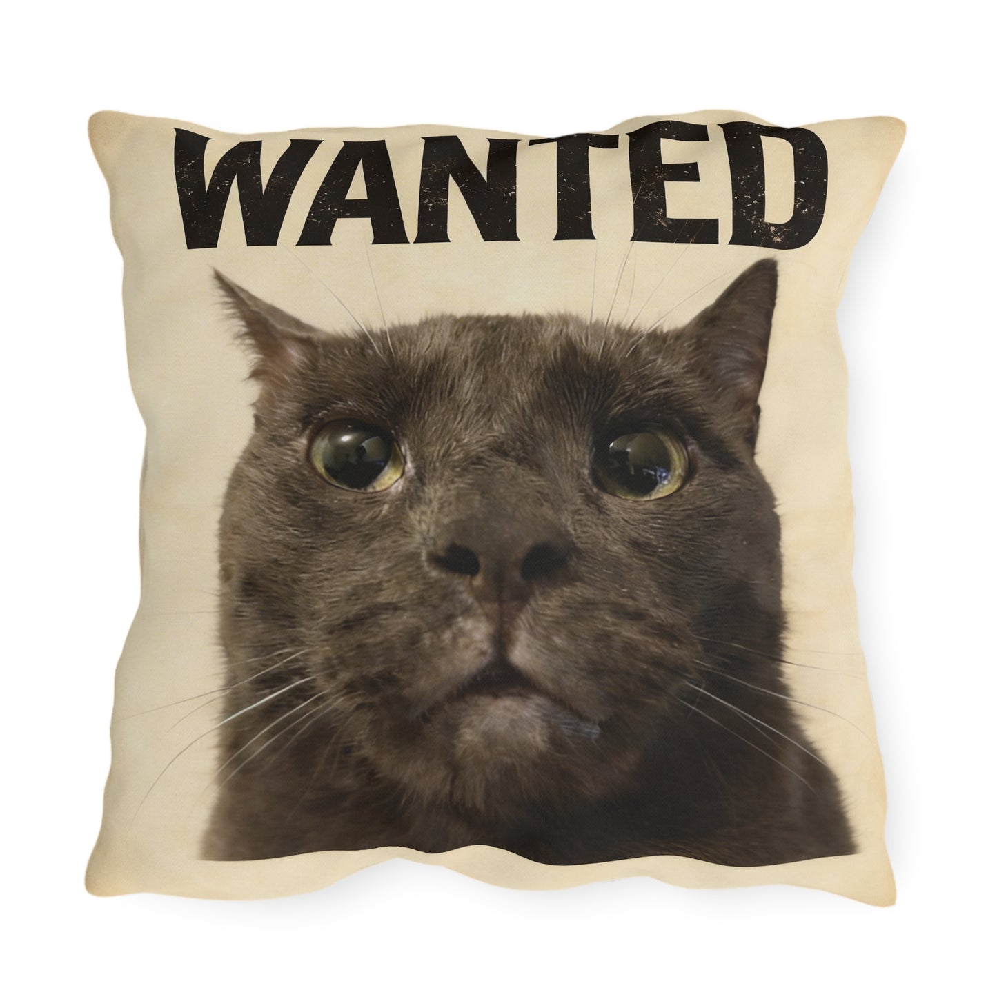 ashe pillow