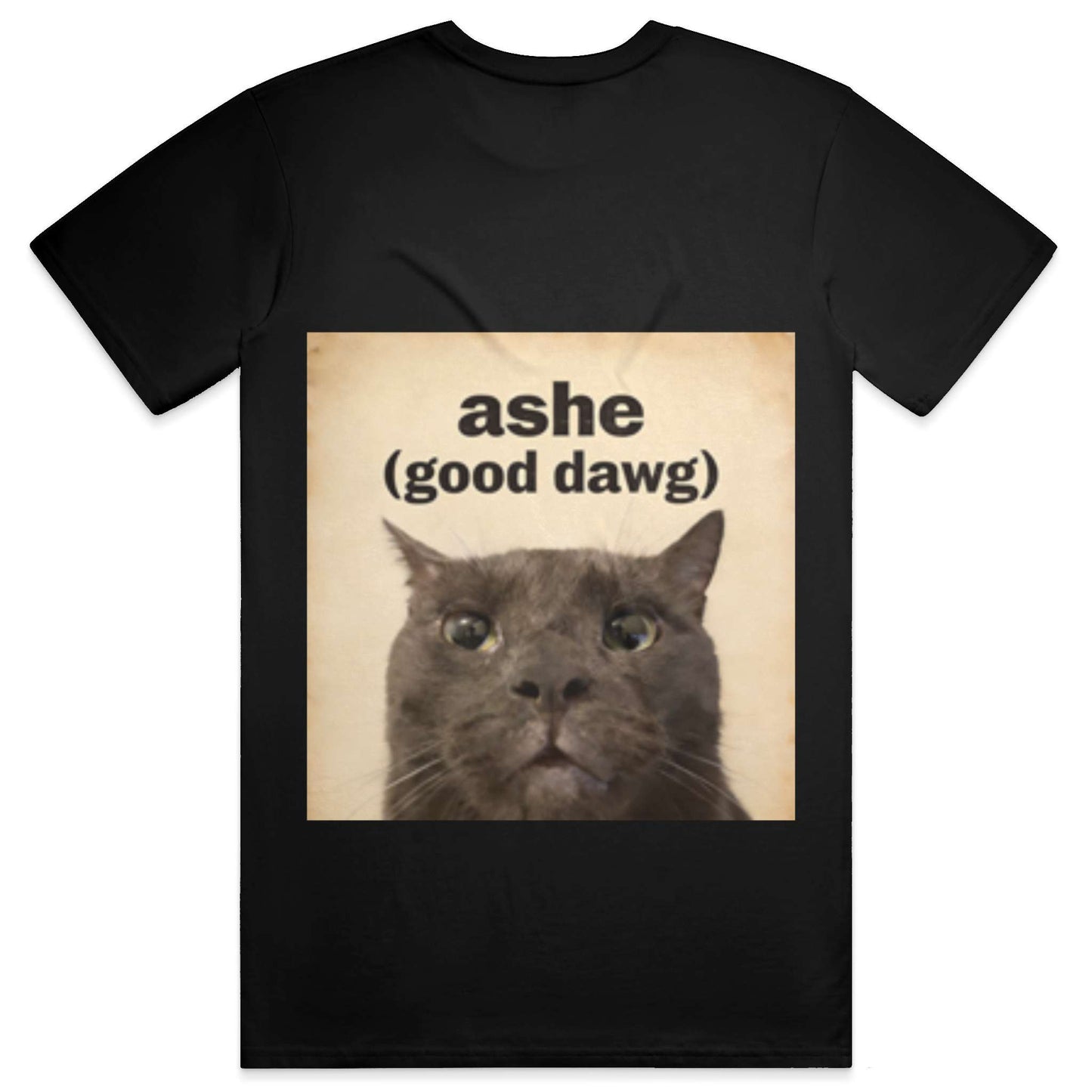 ashe t-shirt - blxck
