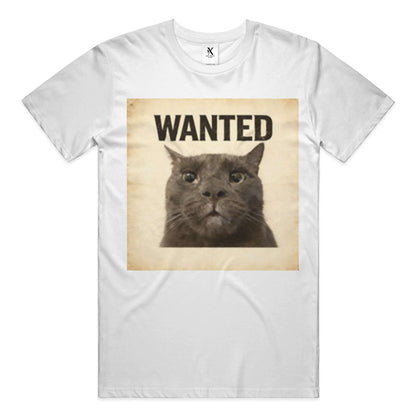 ashe t-shirt - white