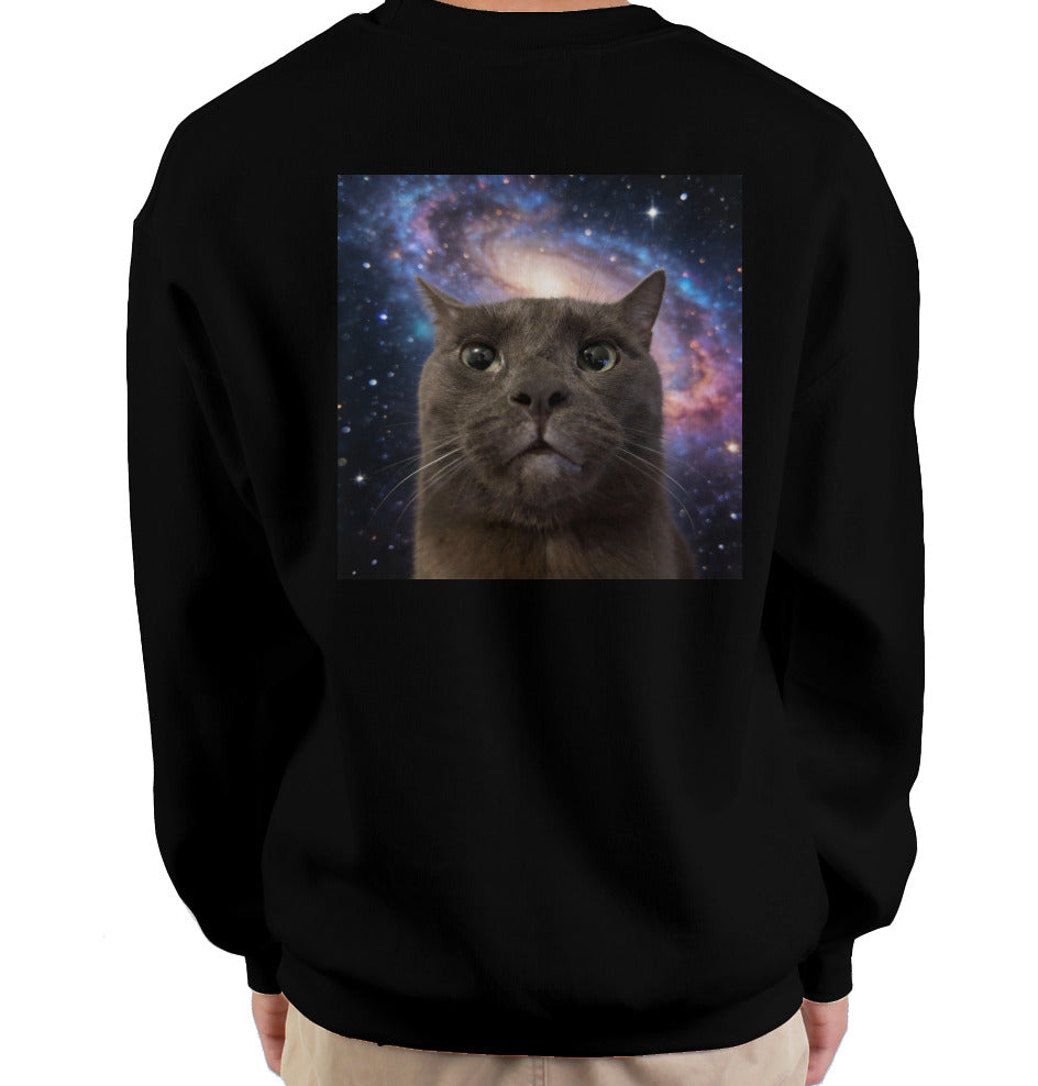 ashe sweatshirt - blxck