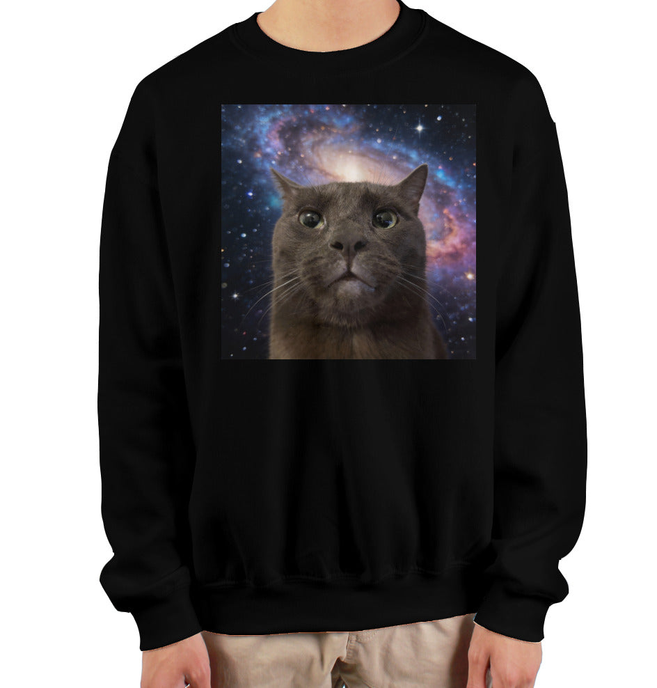ashe sweatshirt - blxck