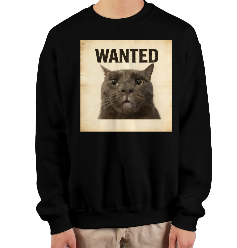 ashe sweatshirt - blxck