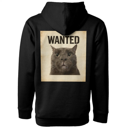 ashe hoodie - blxck