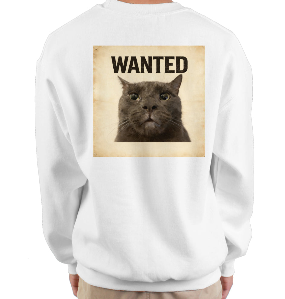 ashe sweatshirt - white