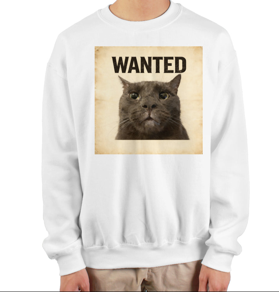 ashe sweatshirt - white